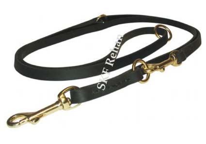 Dog Leash Lead.